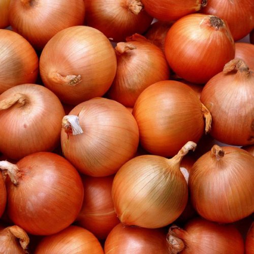 Fresh Onion