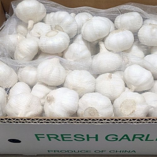 Pure White Garlic